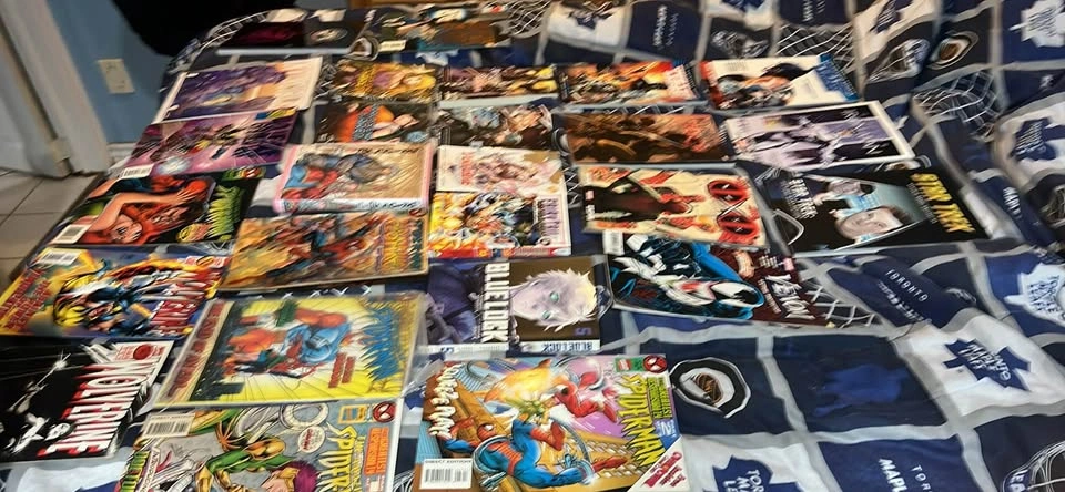 Marvel, DC, and Manga Comic Book Collection - photo 2