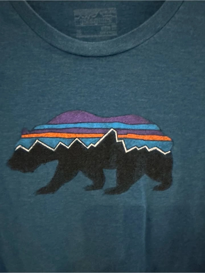 Patagonia Fitz Roy Bear Graphic T-Shirt Men’s Medium Blue - photo 2