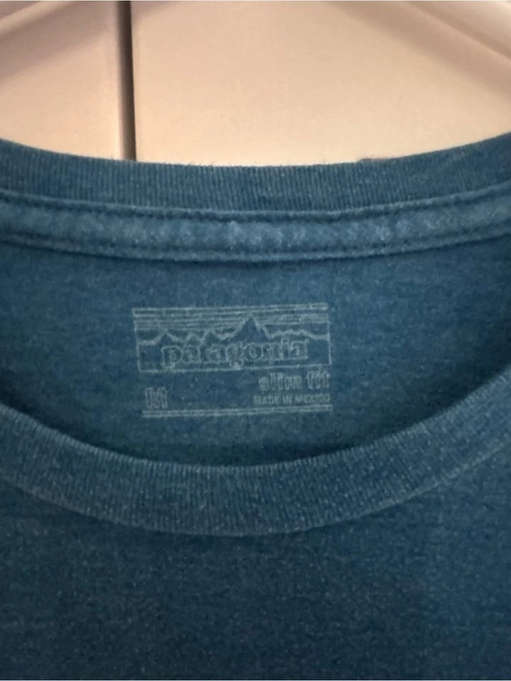 Patagonia Fitz Roy Bear Graphic T-Shirt Men’s Medium Blue - photo 3