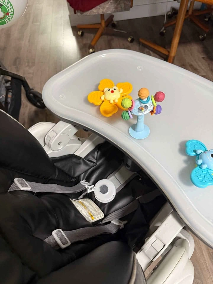 Chicco High Chair - photo 2