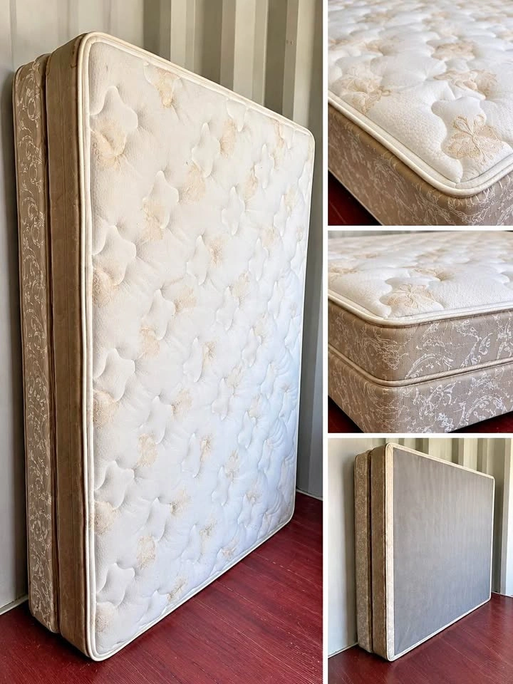 Queen Size Bed w/ Box Spring and Bed Rail