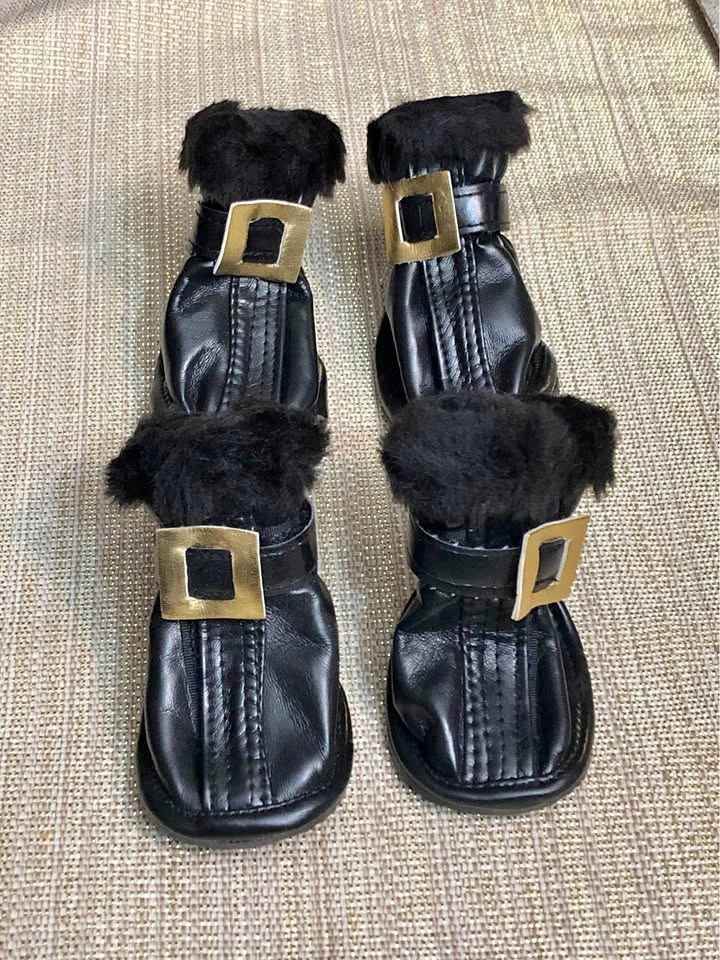 Stylish Dog Boots