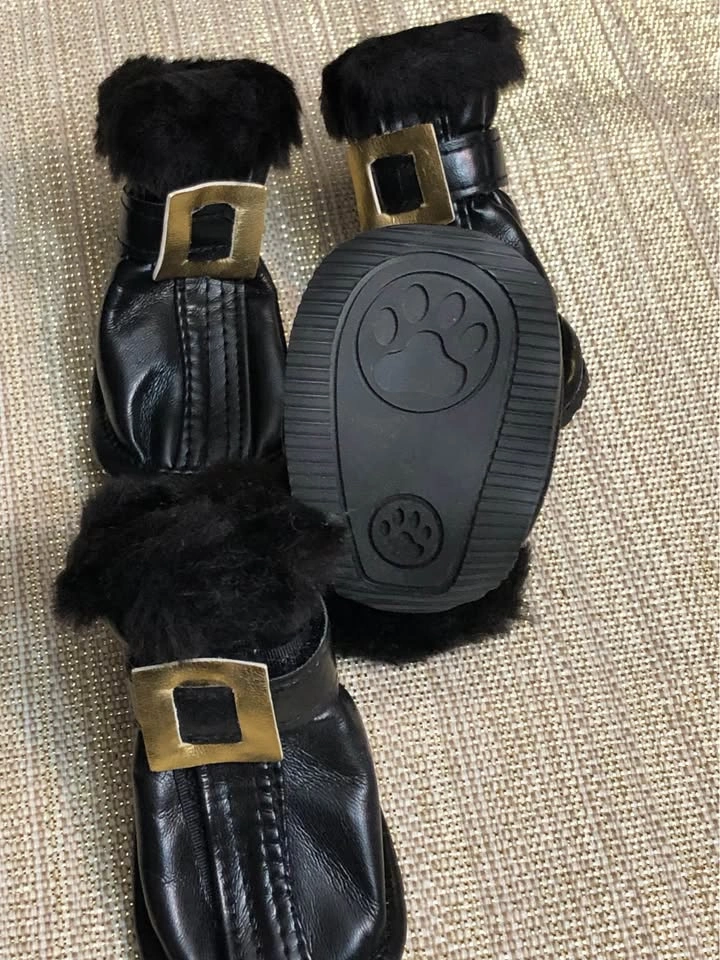 Stylish Dog Boots - photo 2