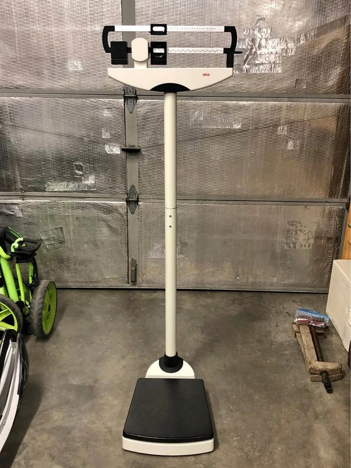 Seca Professional Weight Scale and Height Measure