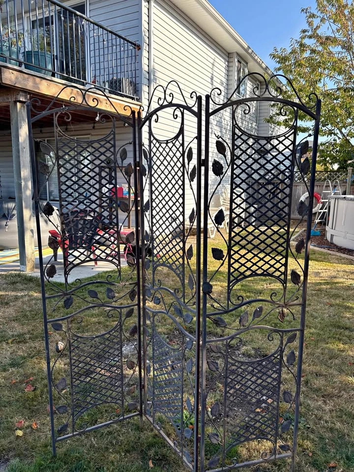 Iron vine pattern garden divider
