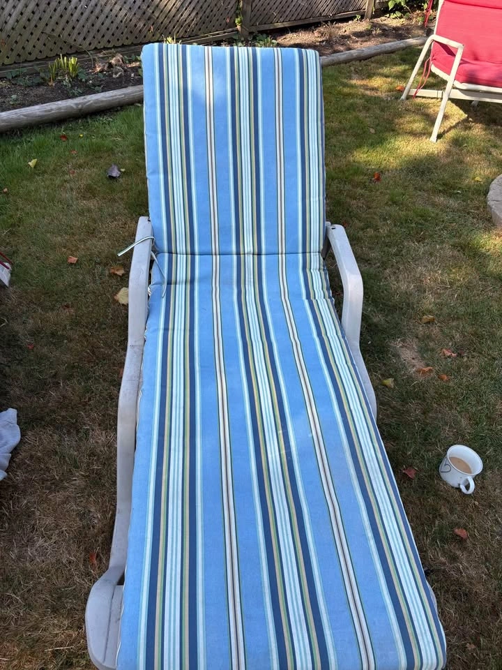 End of summer yard sale: Loungers and cushions - photo 4