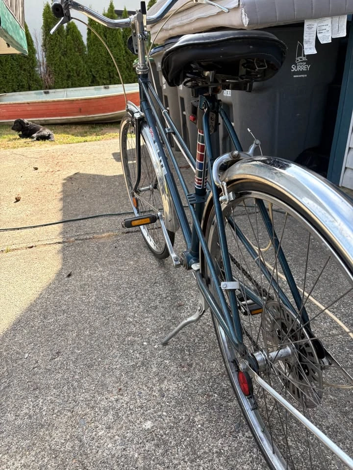 CCM 3 speed bike - photo 2