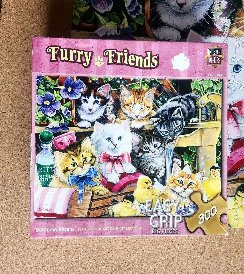 Four 300-piece Puzzles Bundle - photo 4