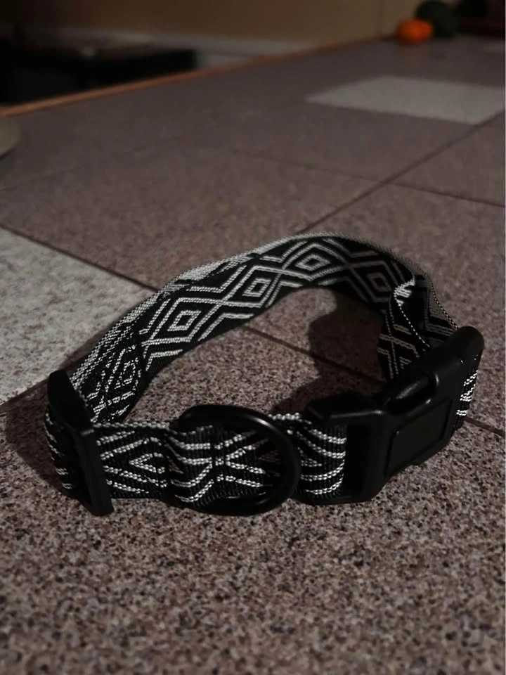 Wilder dog collar
