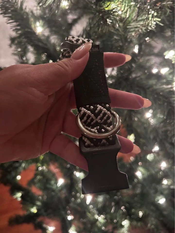 Wilderdog tribal collar (large)