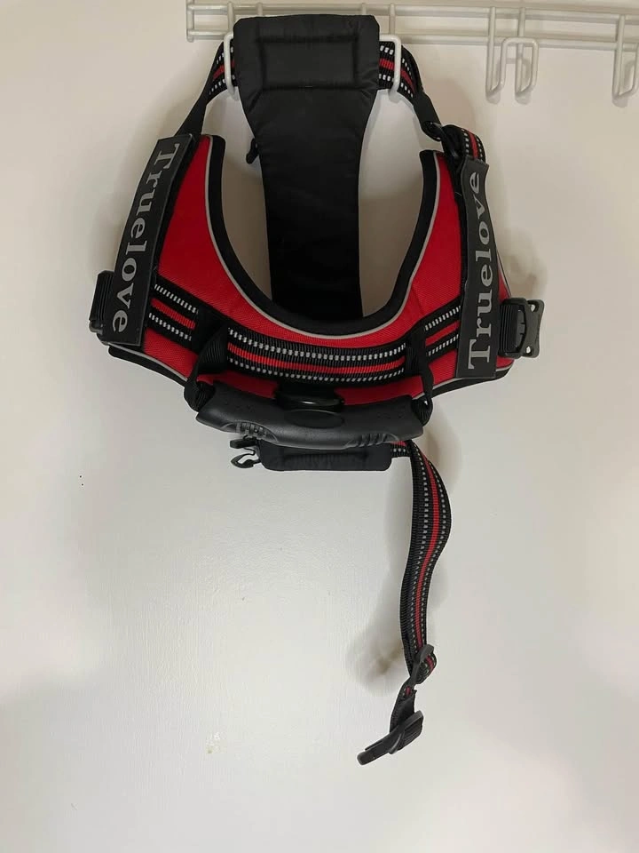 Dog harness