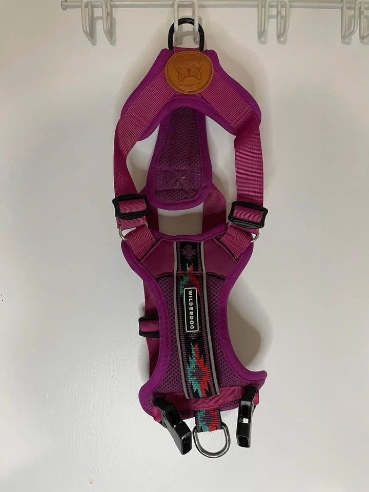 Wilder dog harness