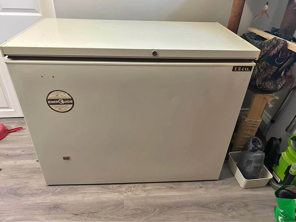 12 cu. ft. Chest Freezer – Clean & Working