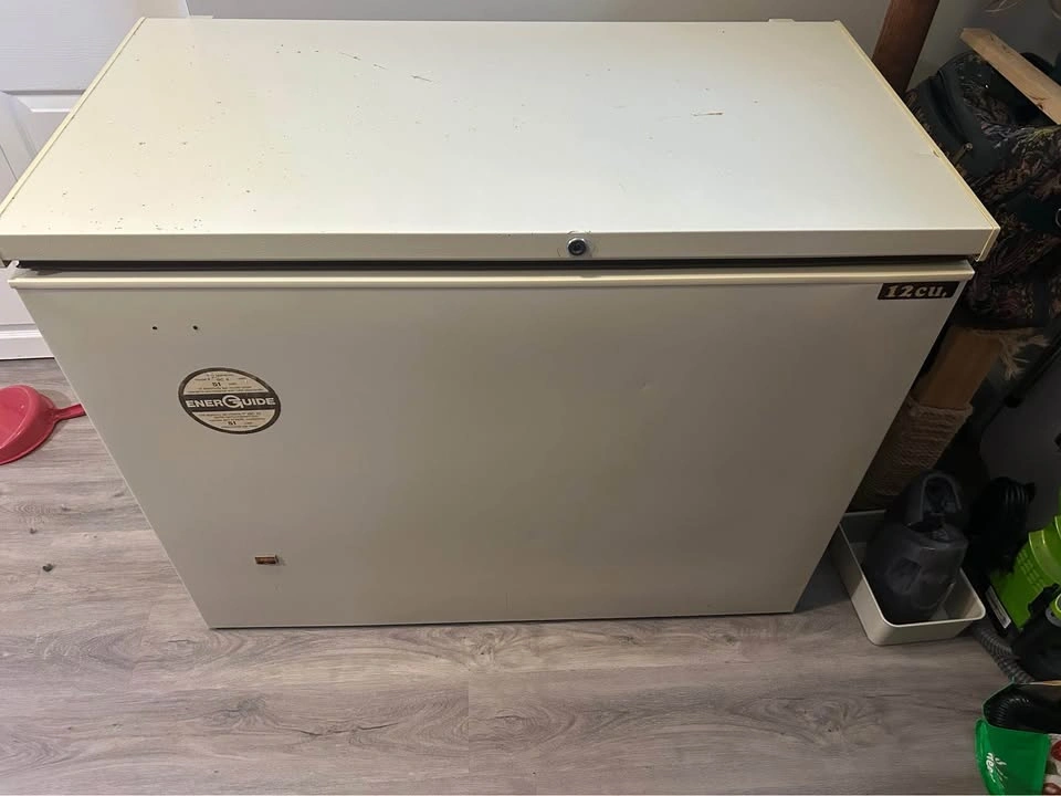 12 cu. ft. Chest Freezer – Clean & Working - photo 2