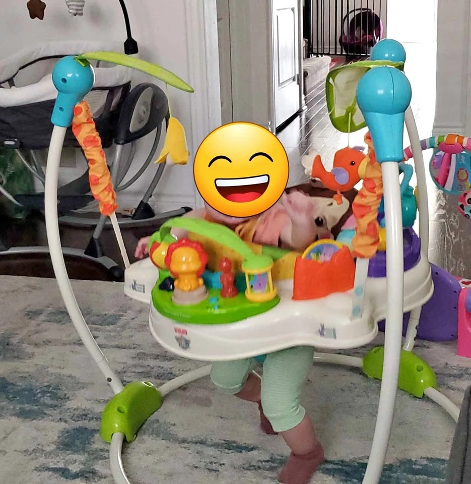 Fisher-Price Precious Planet Jumperoo