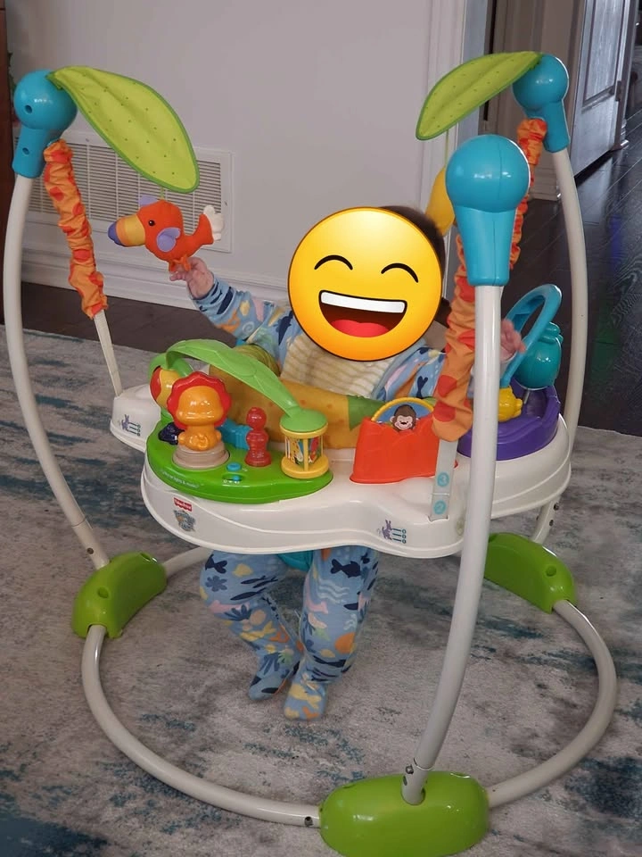 Fisher-Price Precious Planet Jumperoo - photo 2
