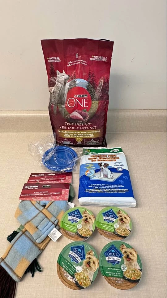 Dog Food, Puppy Pads, Portable Water Bowl, and Dog Scarves
