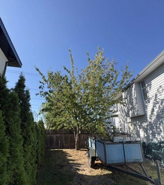 3 Beds 3 Baths - House - photo 3