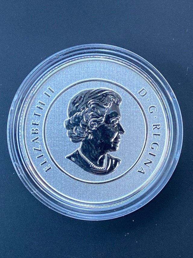 2011 Royal Canadian Mint $20 Silver Canoe Coin