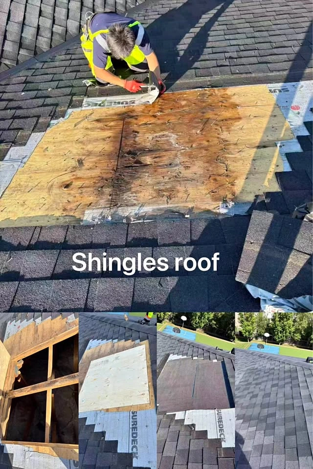 New Shingles roof and plywood