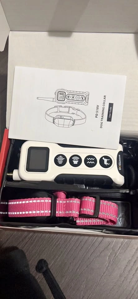 Be Exceptional Dog Box