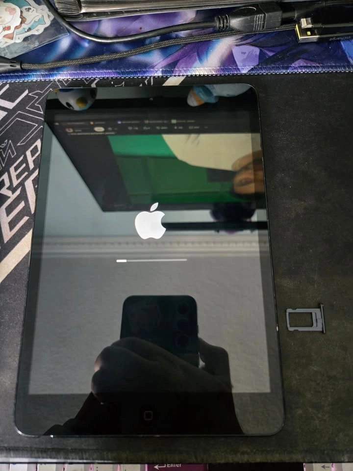iPad Mini 1st Gen - photo 2