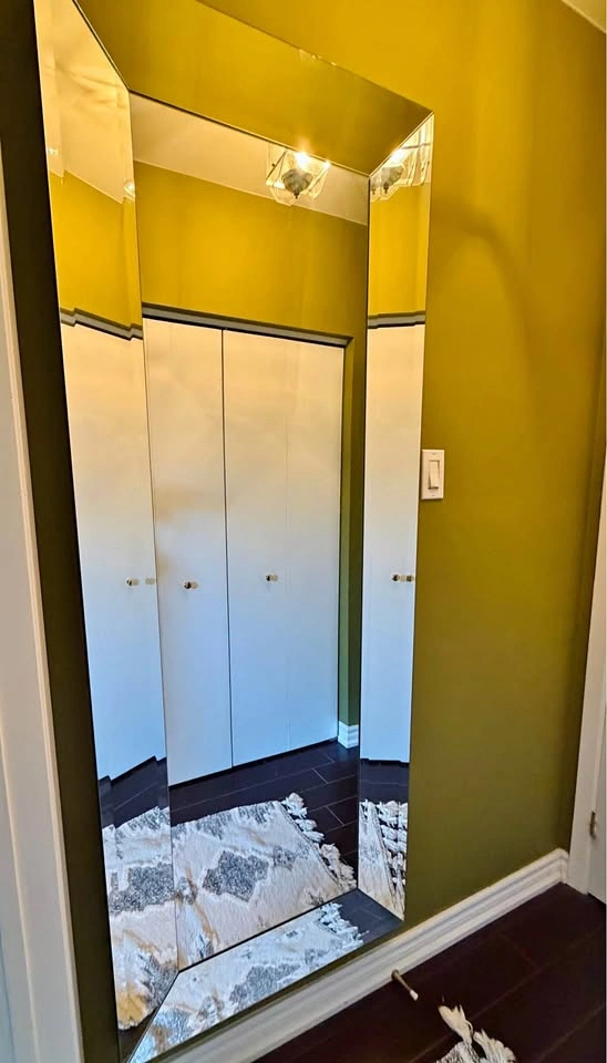 Large Full Length Mirrored Frame Wall Mirror