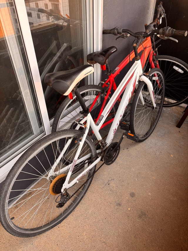 Pair of bikes (sold together or separately)