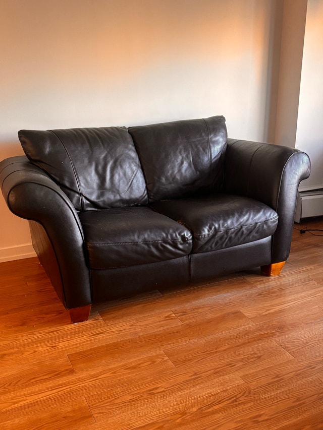 Free leather sofa