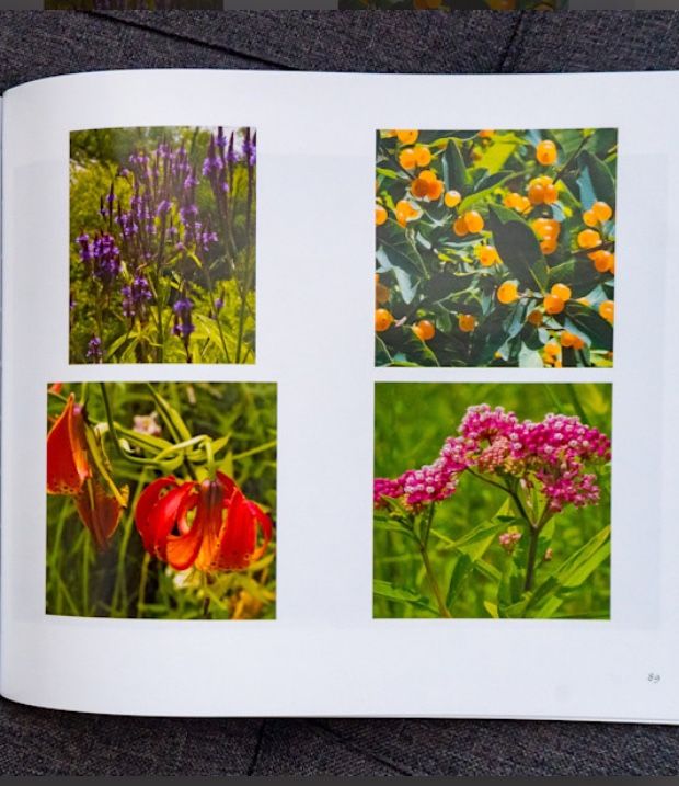 Photo Book “The Dunes of Lake Michigan Eastern Shore” - photo 2