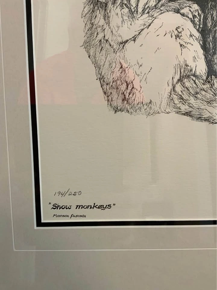 Framed & Signed Peter Karsten “Snow Monkeys” Print (194/250) - photo 2
