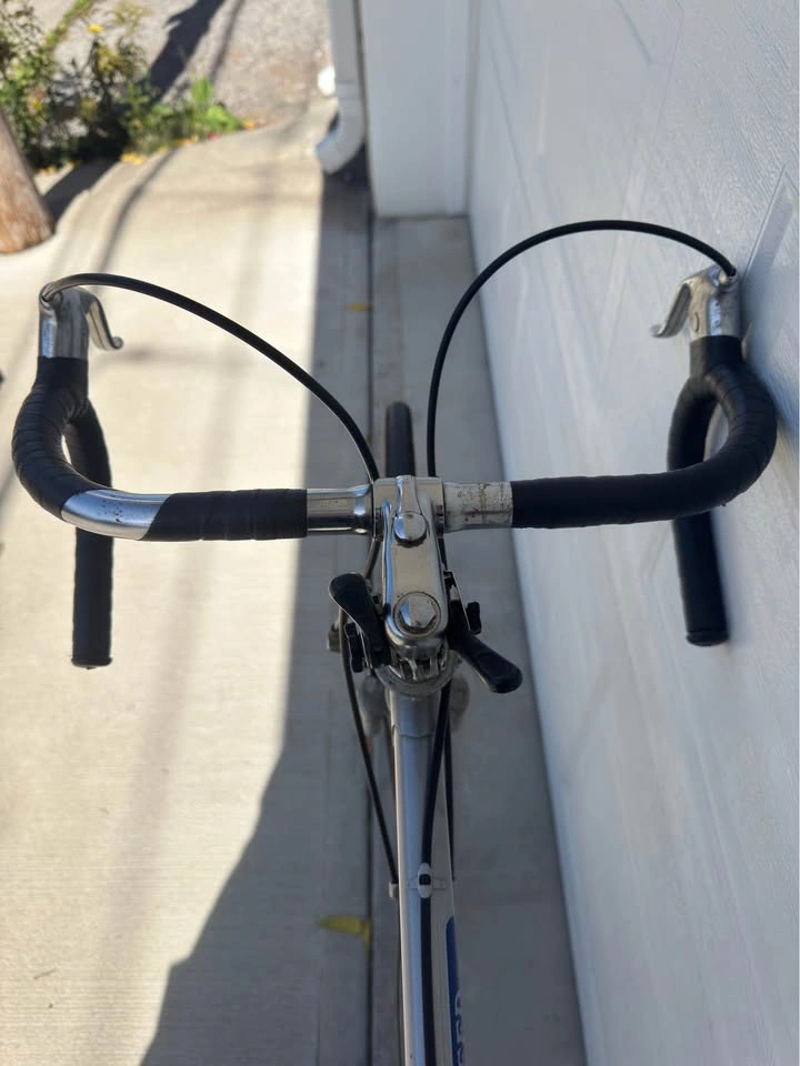 Vintage Fleetwing 10-Speed Road Bike - Classic Steel Frame - photo 3