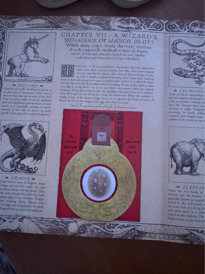 Wizardology - Perfect Condition - photo 3