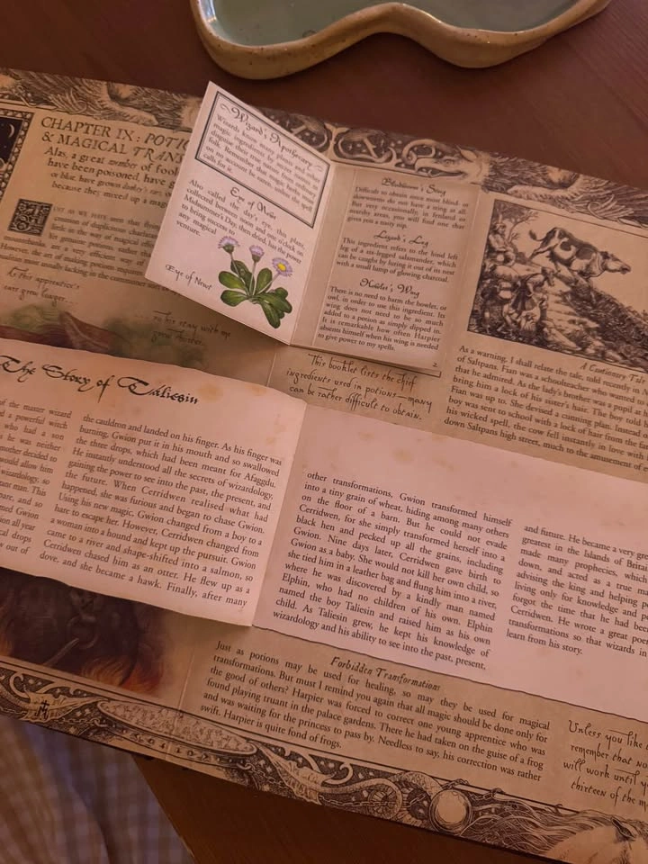 Wizardology - Perfect Condition - photo 4