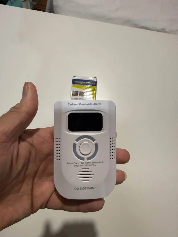 Carbon Monoxide Detector Plug-in 100-250V AC - photo 2