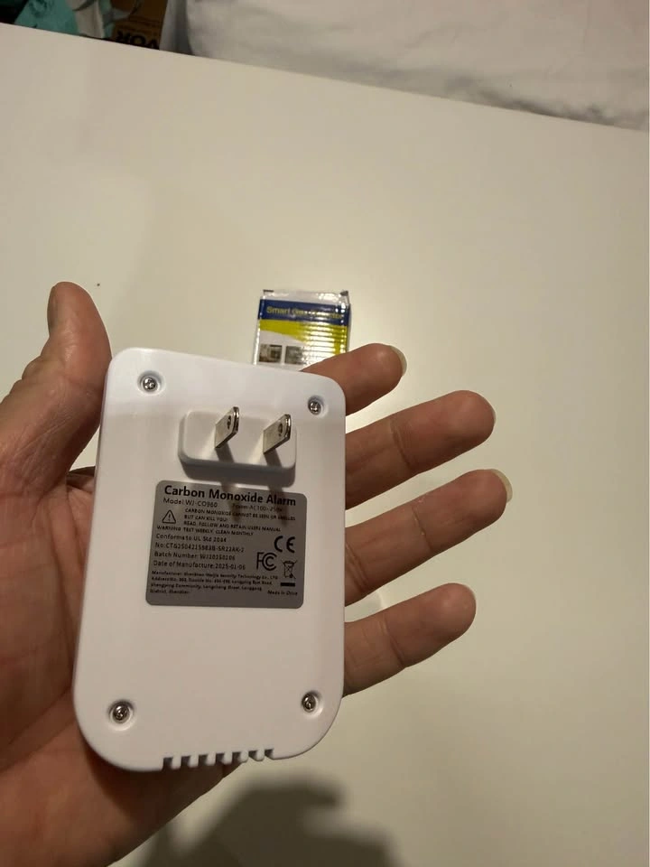 Carbon Monoxide Detector Plug-in 100-250V AC - photo 3