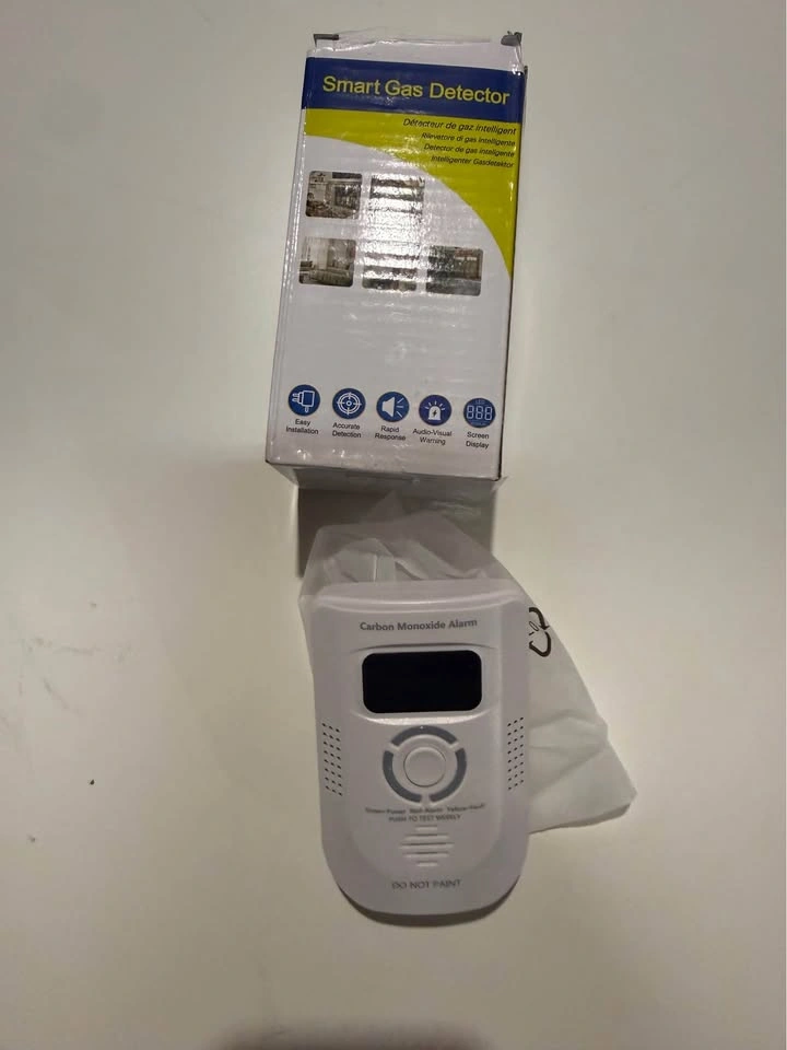 Carbon Monoxide Detector Plug-in 100-250V AC - photo 4