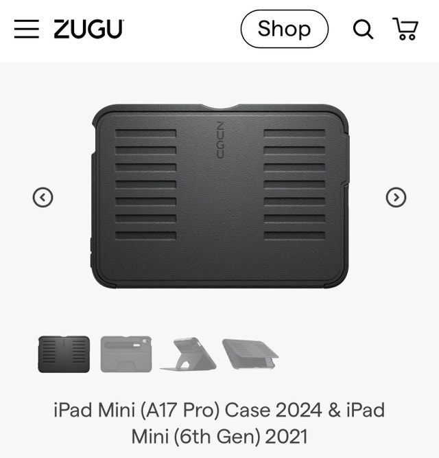 iPad Mini Case