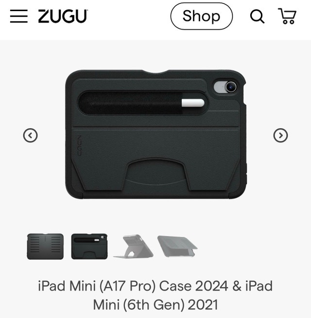 iPad Mini Case - photo 2