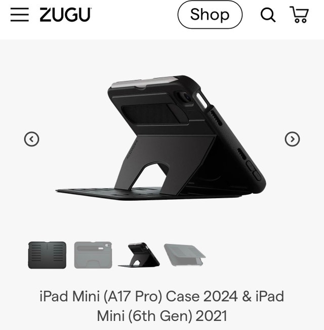 iPad Mini Case - photo 3