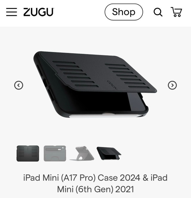 iPad Mini Case - photo 4
