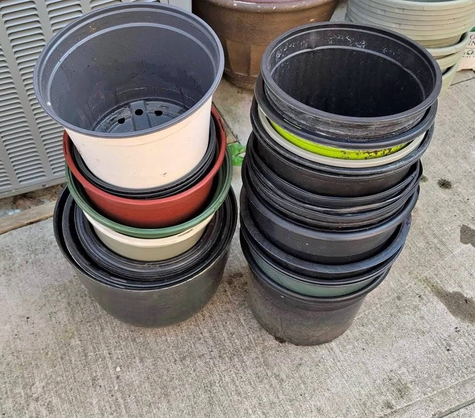 $10 all - Assorted Plastic Garden and Nursery Pots