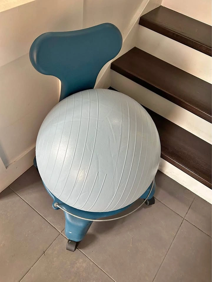Gaiam Balance Ball Chair