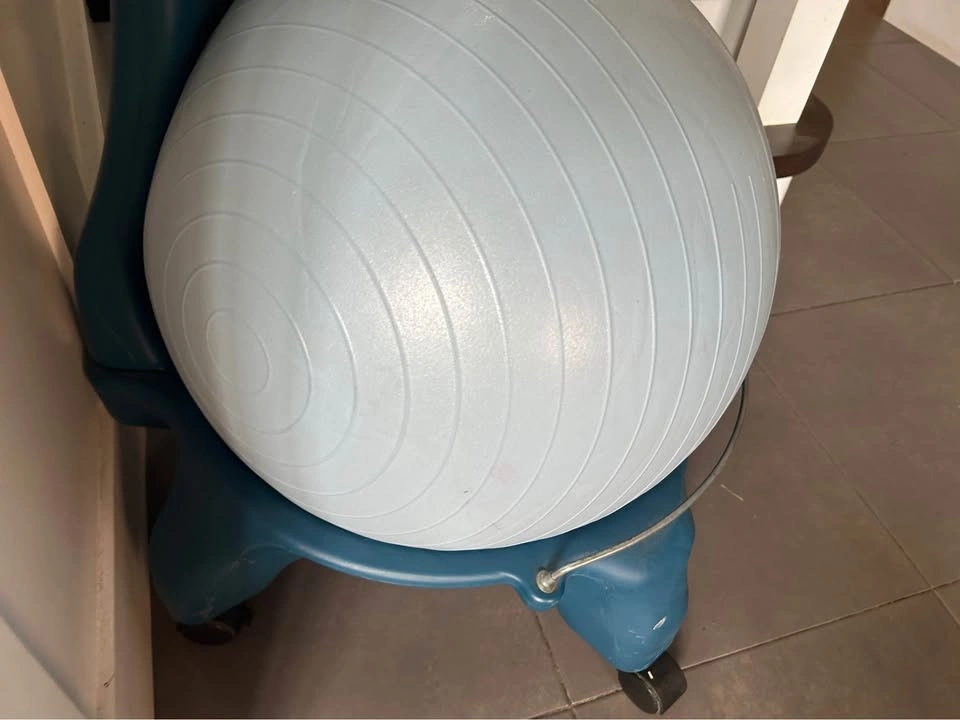 Gaiam Balance Ball Chair - photo 2