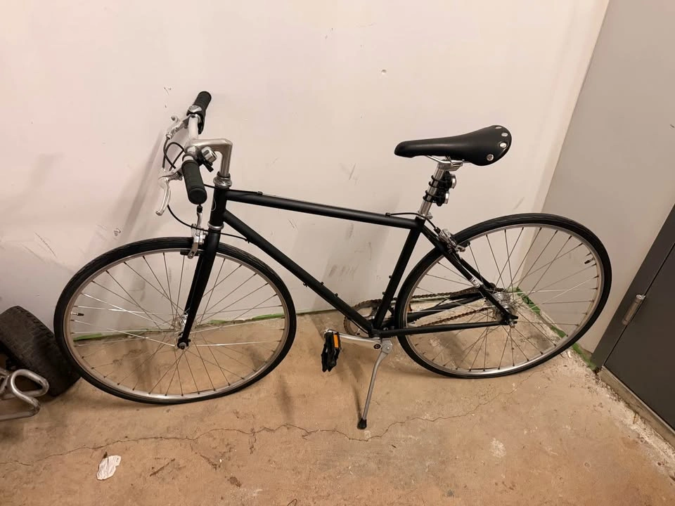 Custom 3-Speed Fixed Gear Bike – Sturmey-Archer S3X Hub - photo 2