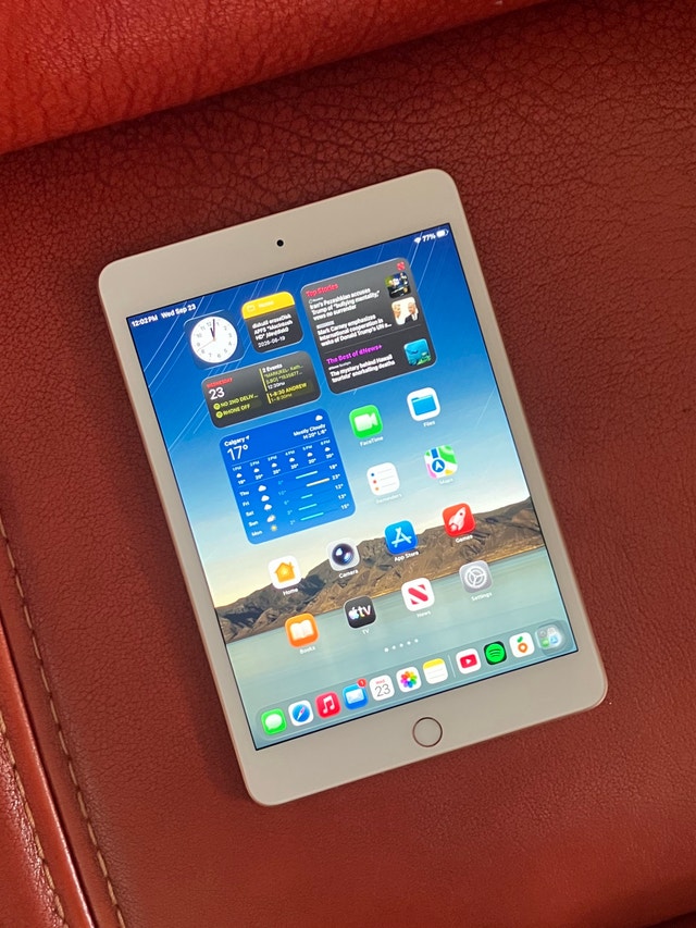 Apple iPad mini 5