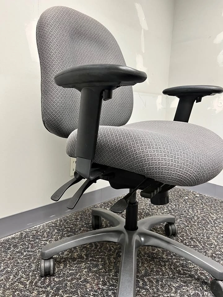 Desk Chair - Ergonomic Multi-Adjustable