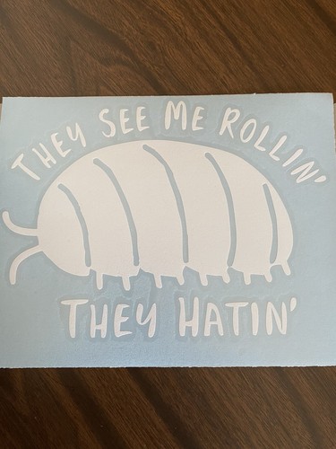 T Shirt Iron On Transfer- They See Me Rollin' They Hatin'