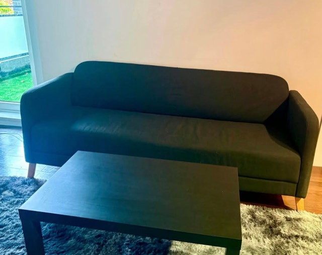 LINANAS ikea couch - photo 2