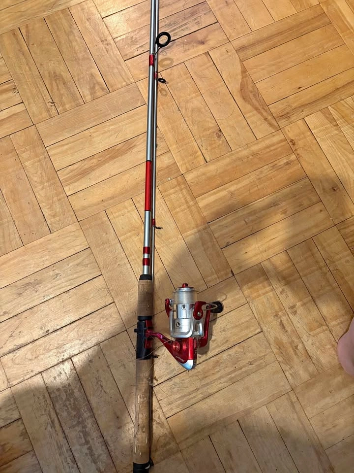 Beginner Fishing rod (rod and reel)
